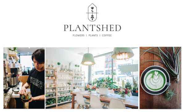 PlantShed: A Plant-Lover's Haven