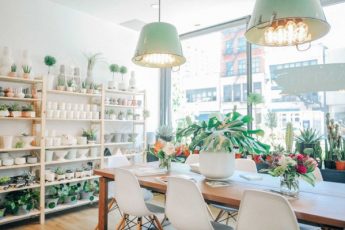 PlantShed: A Plant-Lover's Haven