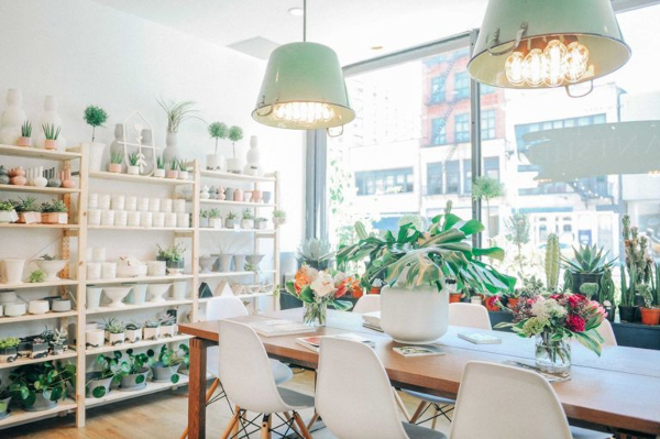 PlantShed: A Plant-Lover's Haven